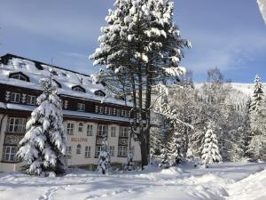 a building with a snow covered tree in front of it at Apartman Bellevue in Špindlerův Mlýn