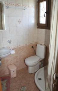 La salle de bains est pourvue de toilettes et d'un lavabo. dans l'établissement Guesthouse Xenioti, à Tsagkarada