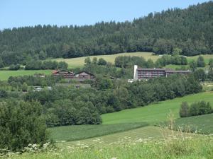 a large green field with a building in the distance at Appartementhaus im Himmelreich in Lam