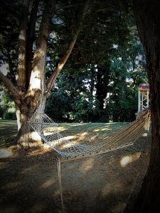 una hamaca atada a un árbol en un parque en La Francigena, en Staggia