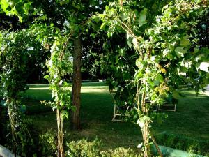 Fotografie z fotogalerie ubytování La Francigena v destinaci Staggia + 103 fotografií