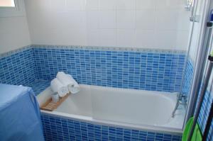 ein blau gefliestes Badezimmer mit einer Badewanne und zwei Handtüchern in der Unterkunft Triana L in Sevilla + 8 Fotos