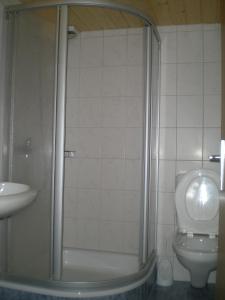 y baño con ducha, aseo y lavamanos. en Säntisblick, en Urnäsch
