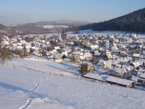 eine Luftansicht eines Dorfes im Schnee in der Unterkunft Haus Cristallo in Olsberg