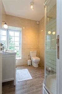 a bathroom with a toilet and a sink and a shower at Green Hill Guest House in Berkovitsa +17 photos