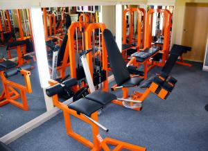 Fitness centrum a/nebo fitness zařízení v ubytování Penzión Stefarez New