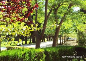 A garden outside Villa Kiza Apartments
