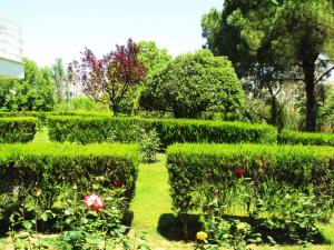 A garden outside Villa Kiza Apartments