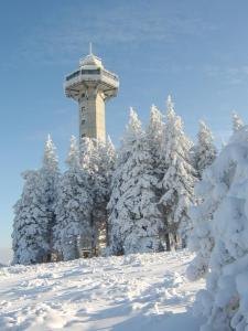 einen Turm auf einem schneebedeckten Hügel mit Bäumen in der Unterkunft Haus Cristallo in Olsberg