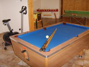 einen Billardtisch mit einem Ball in einem Zimmer in der Unterkunft Haus Cristallo in Olsberg