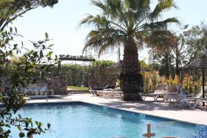 - une piscine avec un palmier et des chaises dans l'établissement Hotel Pinhal do Sol, à Quarteira