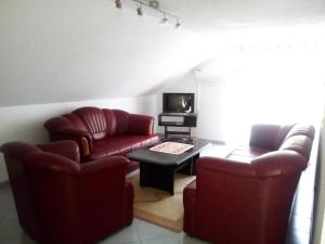 a living room with two couches and a tv at Apartments Hills in Ćukovi