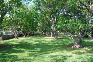 a park with trees and green grass and trees at La Finca in Miami