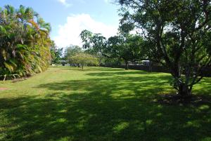 Taman di luar La Finca +3 gambar