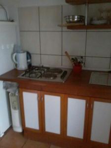 Kuchyň nebo kuchyňský kout v ubytování Apartman Ustrine