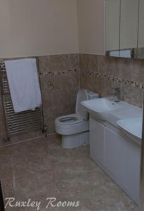 ein Badezimmer mit einem WC, einem Waschbecken und einem Spiegel in der Unterkunft Ruxley Rooms in Sidcup