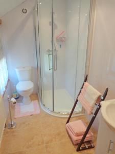 a bathroom with a shower and a toilet at Ballacowell Cottage in Sulby