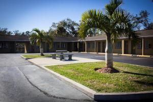 a park with a bench and a palm tree in front of a building at Budget Inn of Daytona Beach in Daytona Beach