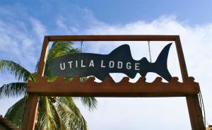 Certificat, premi, rètol o un altre document de Utila Lodge