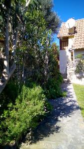 Сад в Casas El Suspiro