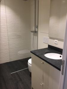 a bathroom with a sink and a toilet at Duinenwachter in Knokke-Heist +31 photos