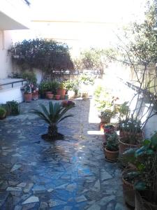 a patio with potted plants and potted plants at Aparthotel Iliahtides in Amarynthos