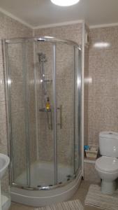 a bathroom with a shower and a toilet at Warwick Lodge in Carlisle