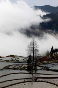 旅舍周边自然景观