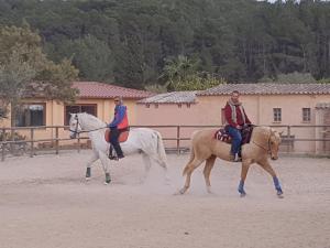 Zdjęcie z galerii obiektu Finca Caballo Blanco w mieście Montuiri