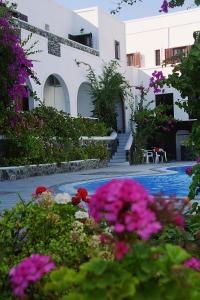 a pool with flowers in front of a building at New Haroula in Fira