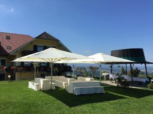 Przyroda w pobliżu tego hotelu
