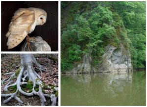 Paesaggio naturale nelle vicinanze del bed & breakfast