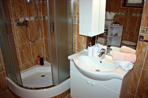 Koupelna v ubytování Apartment Ana