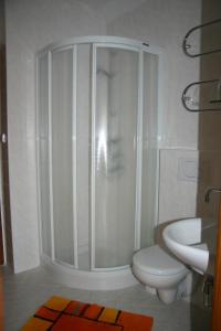 La salle de bains est pourvue d'une douche, de toilettes et d'un lavabo. dans l'établissement Pension Siesta, à Třeboň