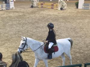 a child is riding on a white horse at La Scuderia in Sarzana
