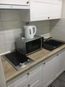Η κουζίνα ή μικρή κουζίνα στο Apartman Saris