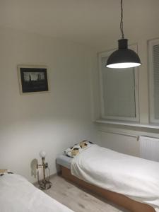 um quarto com 2 camas e um candeeiro em Apartman Saris em Presov