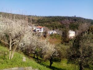 Príroda v okolí dovolenkového domu