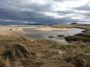 a view of a beach with a creek in the sand at Riverside Guest House in Morpeth