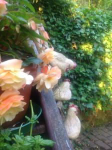 Foto dalla galleria di Hotel Berg a Dannenfels