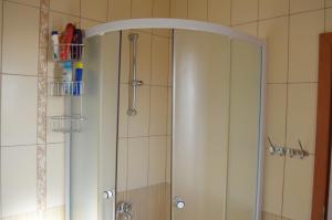 a shower with a glass door in a bathroom at Zubci mountain apartment in Bar +21 photos