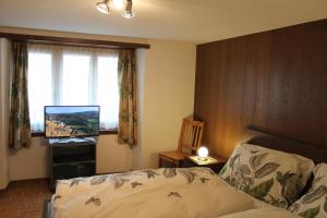 a bedroom with a bed and a tv and a window at Chalet Alpentraum in Saas-Grund