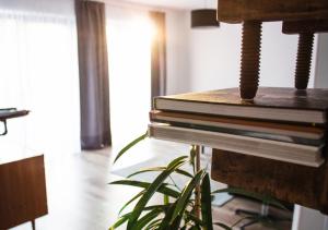 a stack of books sitting on a shelf next to a plant at The Townhouse Apartment in Burgwedel