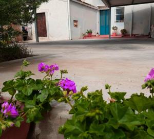 Galeriebild der Unterkunft Il Giardino Del Corso in Avola