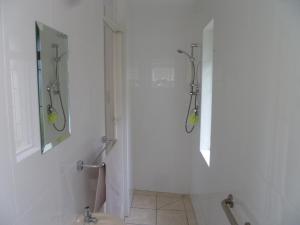 a bathroom with a shower and a toilet and a sink at No. 1 Living Waters in Simonʼs Town