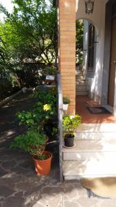 a group of potted plants sitting on a porch at House on Anagnino 64 in Ciampino