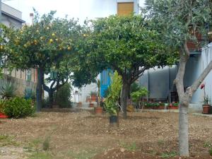 Galeriebild der Unterkunft Il Giardino Del Corso in Avola