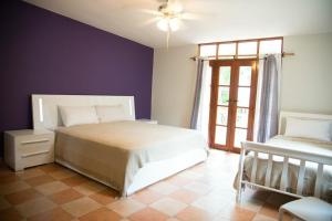 Schlafzimmer mit lila Wänden, einem Bett und einem Fenster in der Unterkunft Contadora Island Inn in Isla Contadora