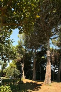 Jardin de l'établissement B&B Il Parco Dei Pini