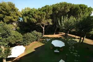 Zahrada ubytování B&B Il Parco Dei Pini